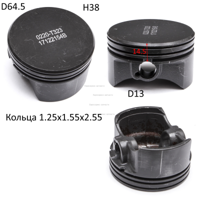 Поршень 130030220-0001 K 5500L